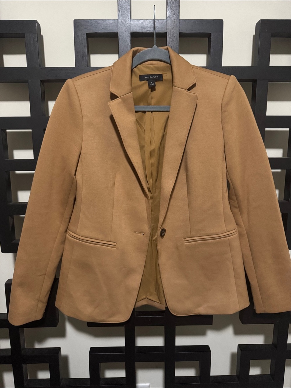 Ann Taylor Tan Blazer Jacket - Women's Single-Button Tailored Blazer